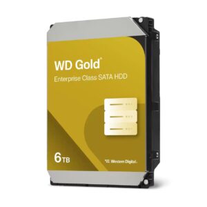 WD Gold 6TB WD6004FRYZ