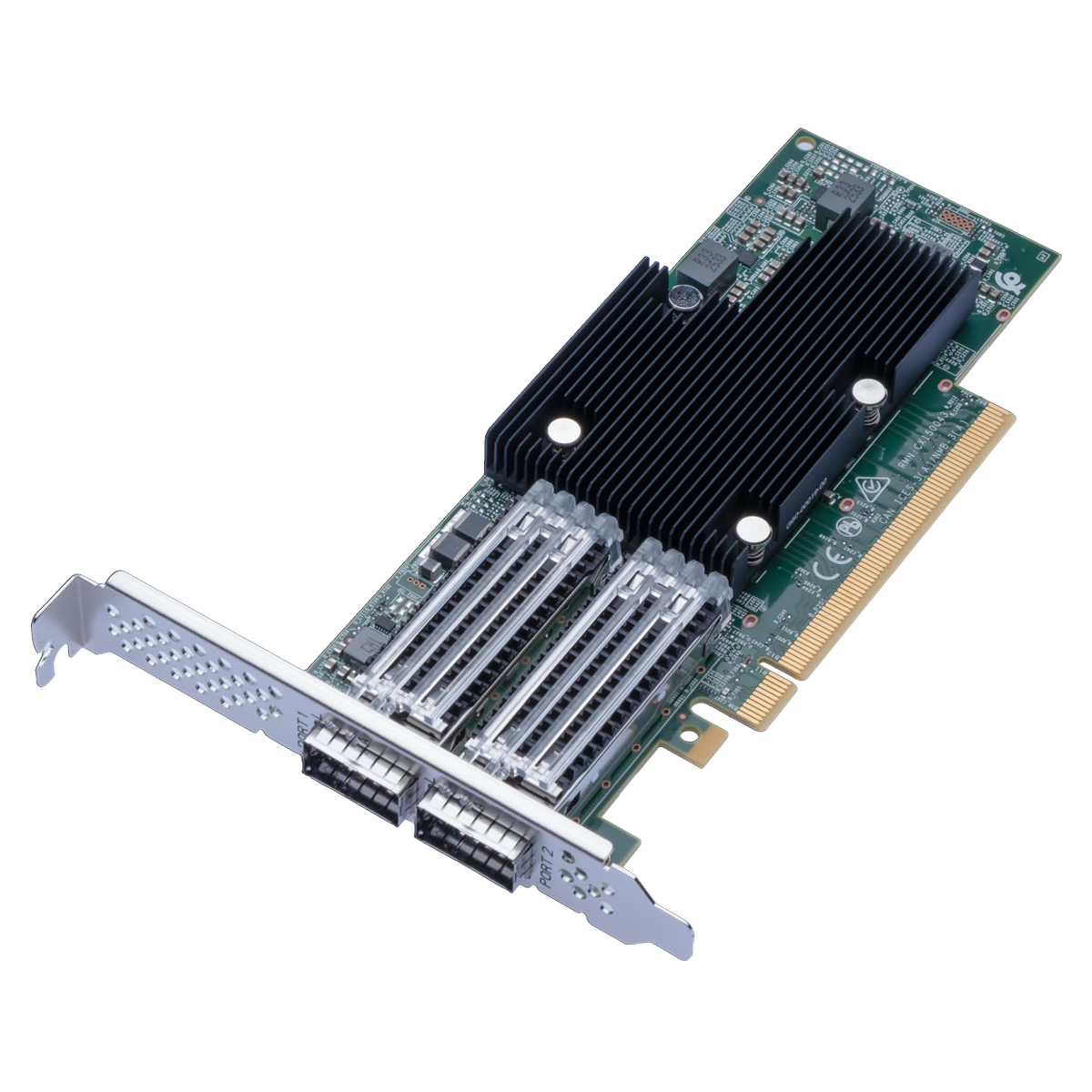 Synology P2100G